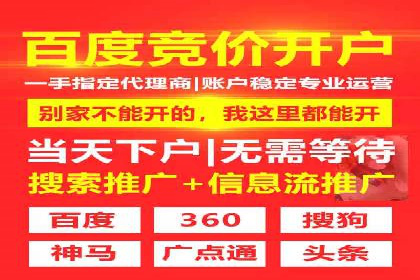 行业领先企业的SEM竞价推广策略揭秘